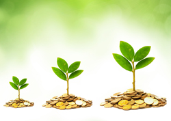 Business Tax Solutions Business Tax Solutions